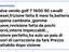 Immagine 6