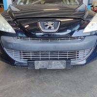 Paraurti anteriore PEUGEOT 308 del 2009