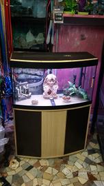 acquario askoll tenerife 150lt 