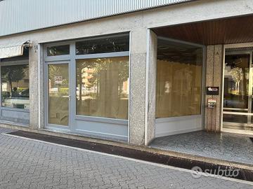 Sondrio, viale Milano, 32mq, ristrutturato,