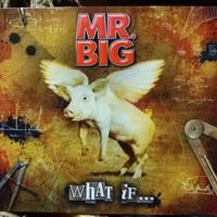 cd+dvd Mr. Big - What If.(2010)