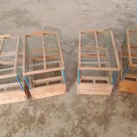 gabbiette in legno/ trasportini