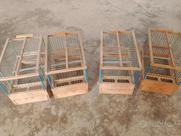 gabbiette in legno/ trasportini