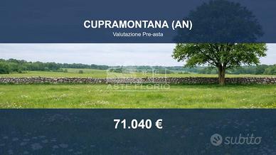 Immobile in asta di 64708 m² a Cupramontana