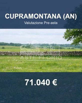 Immobile in asta di 64708 m² a Cupramontana