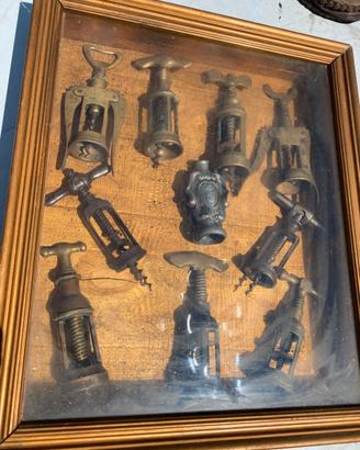Collezione cavatappi antichi 10 pz.  In quadro