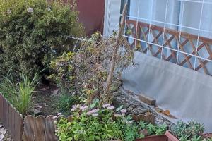 Roulotte con casetta e veranda