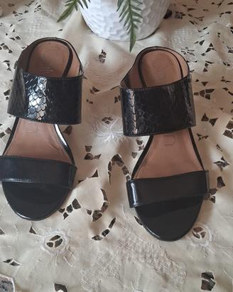Scarppa elegante