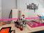Immagine 15