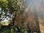 Immagine 12
