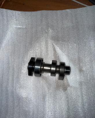 camma malossi sh 300