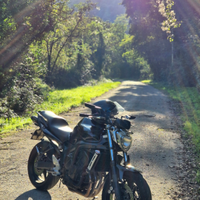 Yamaha fz6