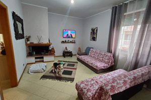 Trilocale 6 posti letto