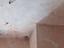 Immagine 12