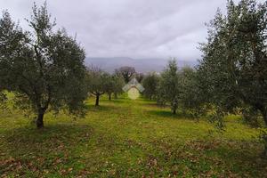 TER. AGRICOLO A GUALDO TADINO