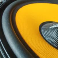 Altoparlanti CWF165.10 Zacks