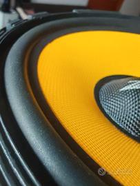 Altoparlanti CWF165.10 Zacks