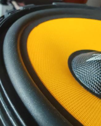 Altoparlanti CWF165.10 Zacks