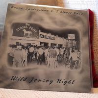 BOOTLEG 33 GIRI SPRINGSTEEN "WILD JERSEY NIGHT"