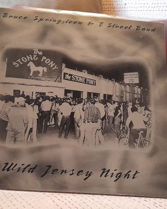 BOOTLEG 33 GIRI SPRINGSTEEN "WILD JERSEY NIGHT"