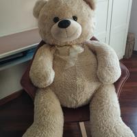 Orso di peluche 