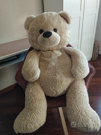 Orso di peluche 
