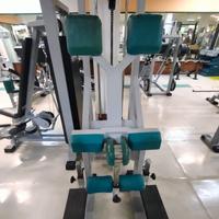 Standing leg curl Panatta