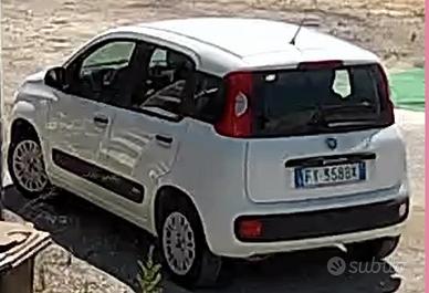 fiat panda