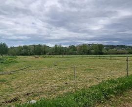 TERRENO AGRICOLI CONGIUNTI