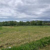 TERRENO AGRICOLO CONGIUNTI