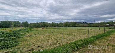 TERRENO AGRICOLO CONGIUNTI