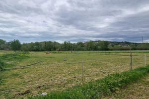 TERRENO AGRICOLO CONGIUNTI