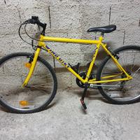 Bicicletta "26 uomo