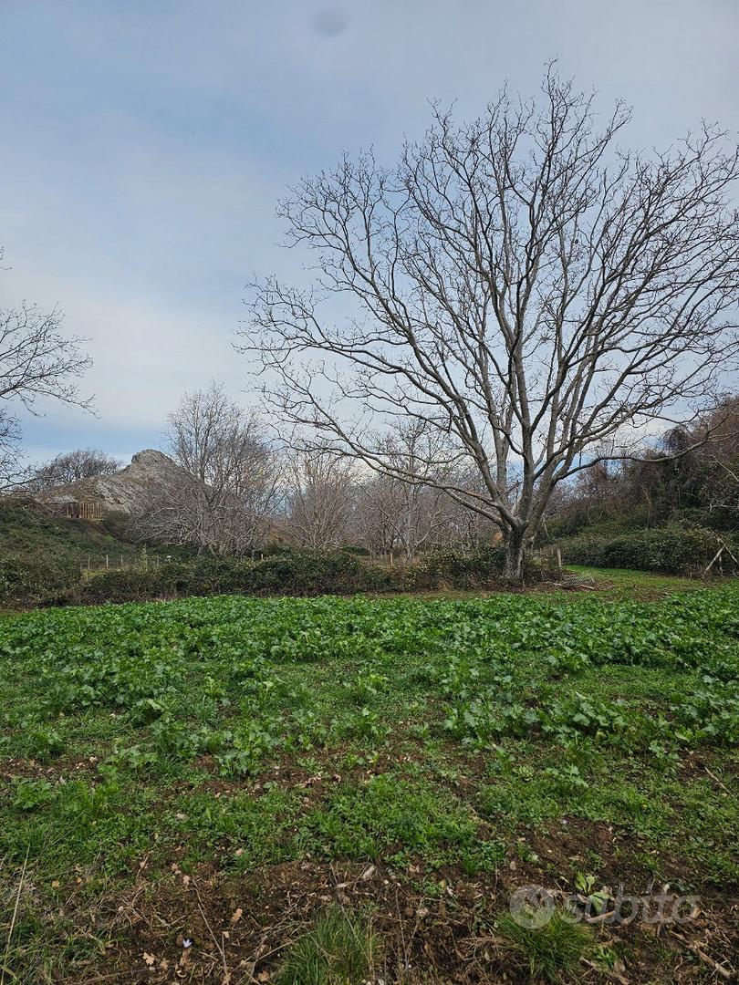 Casolare e terreno - Vista 2