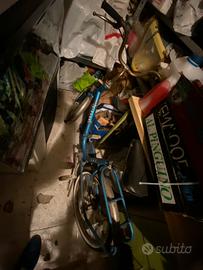 Bicicletta Graziella