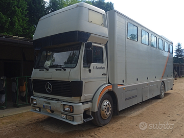 Van trasporto cavalli Mercedes