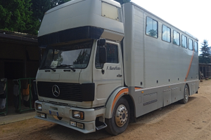 Van trasporto cavalli Mercedes