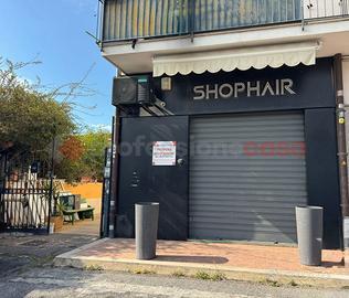 Negozio Castel Gandolfo [334ACG]