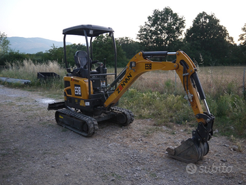 Miniescavatore