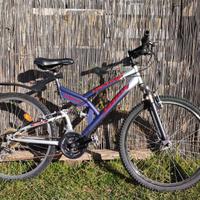 Bicicletta per ragazzo/uomo