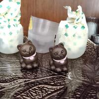 Gatti mori Thun bauli. Coppia