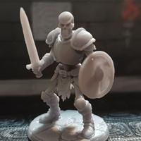 miniature D&D 5 pz