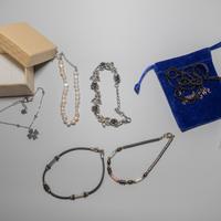 set di 5 bracialetti ed un fischietto
