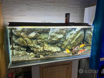 Acquario 600 Litri + Kit pompa e Carpe Koy