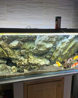Acquario 600 Litri + Kit pompa e Carpe Koy