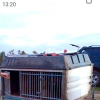Carrello trasporto cani