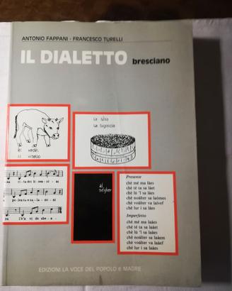 Libro Il dialetto Bresciano