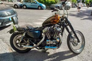 Harley-Davidson sportster 1200 custom 2005