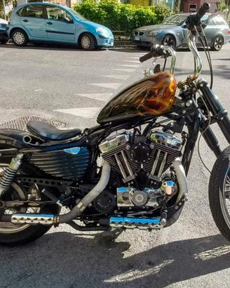 Harley-Davidson sportster 1200 custom 2005
