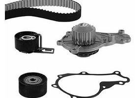 KIT DISTRIBUZIONE + PA METELLI CITROEN C3 FORD